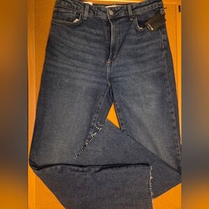 Joe's Jeans Dark Straight Leg Women's Jeans